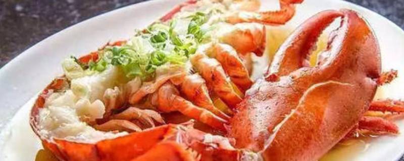 波士顿龙虾能活多久 波士顿龙虾可以活多久