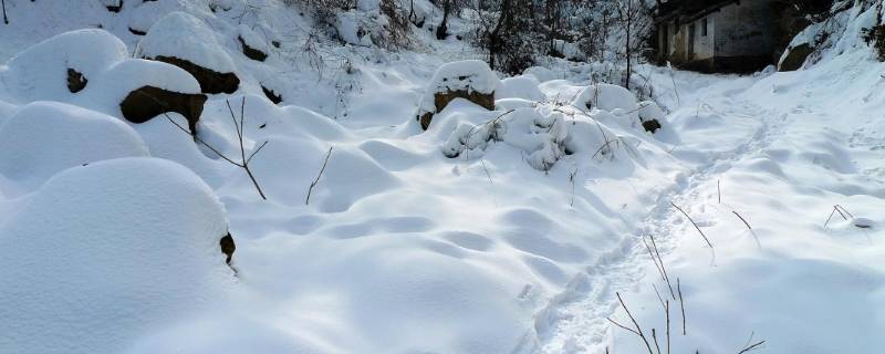 象征冬天的东西有哪些（象征冬天的东西有哪些图片）
