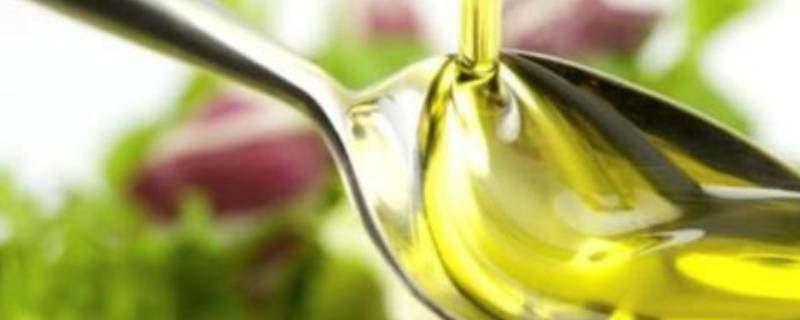 植物甾醇是什么 植物甾醇是什么东西