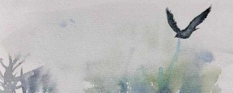 无脚鸟的寓意是什么 什么叫无脚鸟