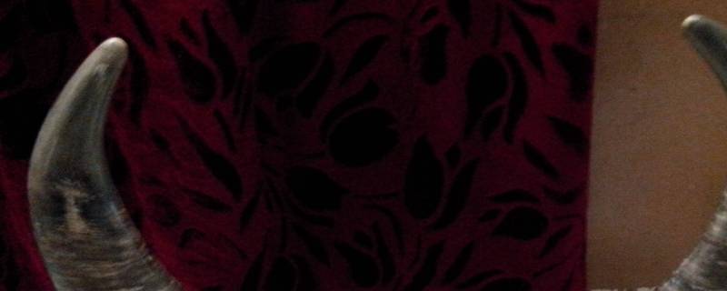 牛角有裂纹了能修复了吗（牛角裂纹怎么修复）