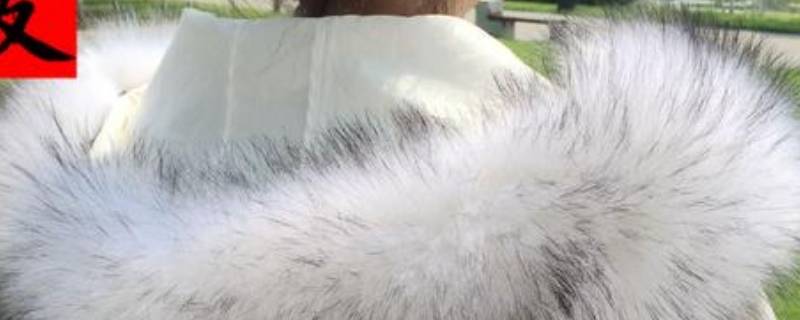 貉子毛领能不能水洗 貉子毛领能不能水洗