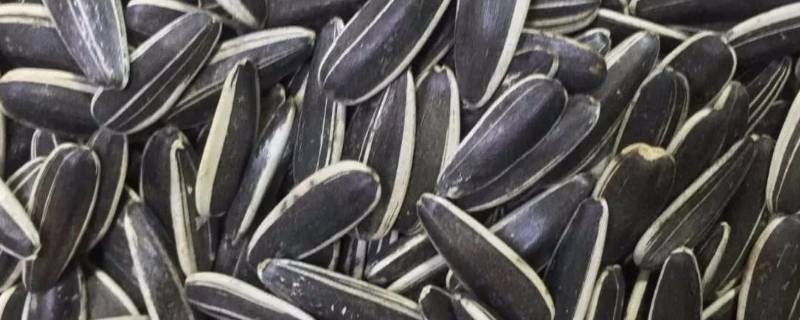 如何判断瓜子是否有滑石粉 如何判断瓜子的质量