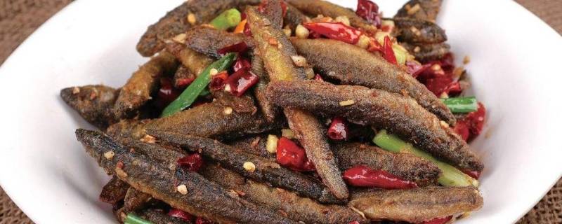 冬天放生泥鳅能活吗 冬天放生泥鳅能活吗有毒吗