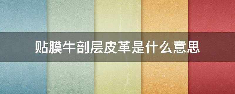 贴膜牛剖层皮革是什么意思（牛剖层覆膜皮是真皮吗?）