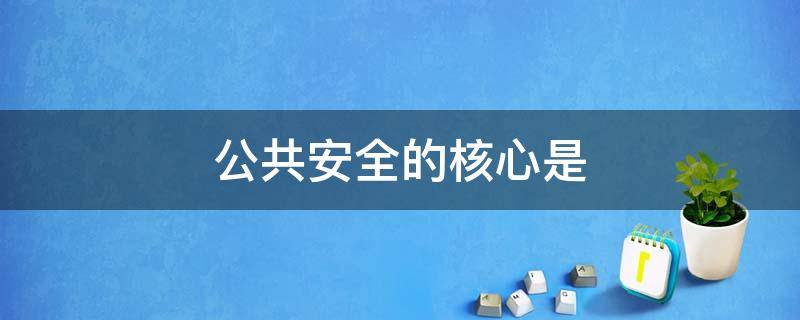 公共安全的核心是 公共安全的核心是什么