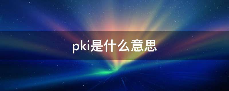 pki是什么意思（pki是指什么）
