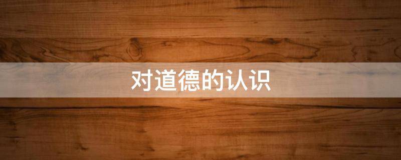 对道德的认识 对道德的认识论文