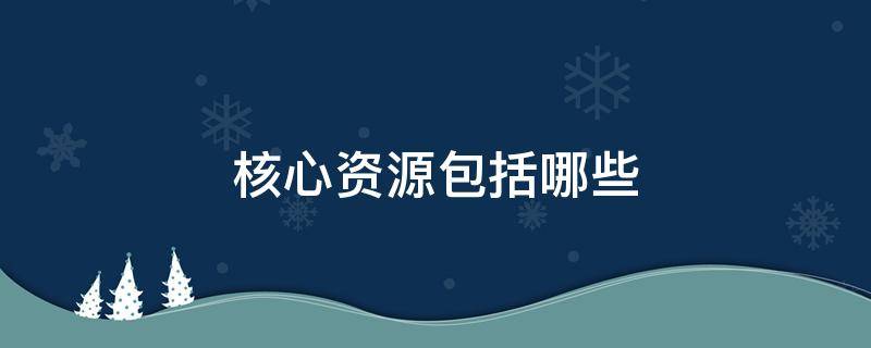 核心资源包括哪些（核心资源包括哪些竞争力）
