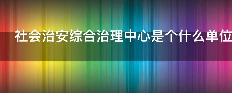 社会治安综合治理中心是个什么单位 社会治安综合治理中心是干啥的