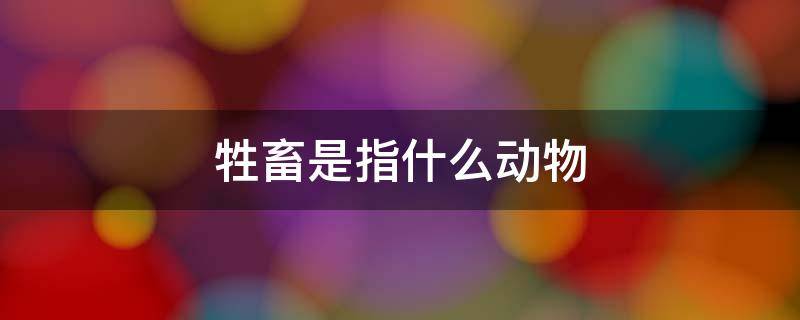 牲畜是指什么动物（牲畜是指什么动物生肖）