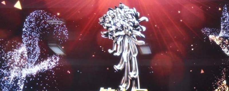 金菊花奖什么意思（金菊花奖是国外还是国内的人）