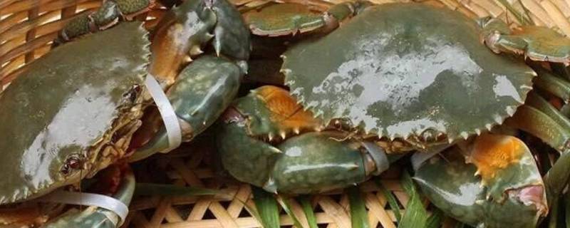 青蟹高压锅要蒸多久（青蟹高压锅要蒸多久能熟）
