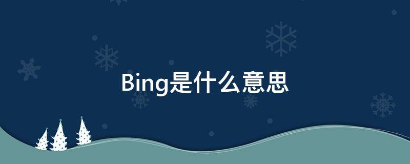 Bing是什么意思（柄是什么意思）