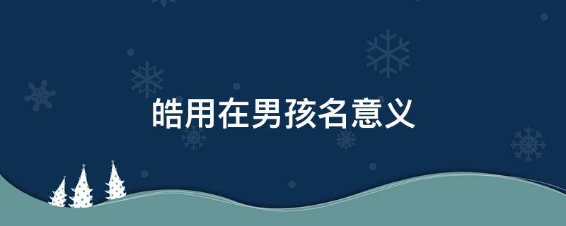 皓用在男孩名意义 轩用在男孩名意义