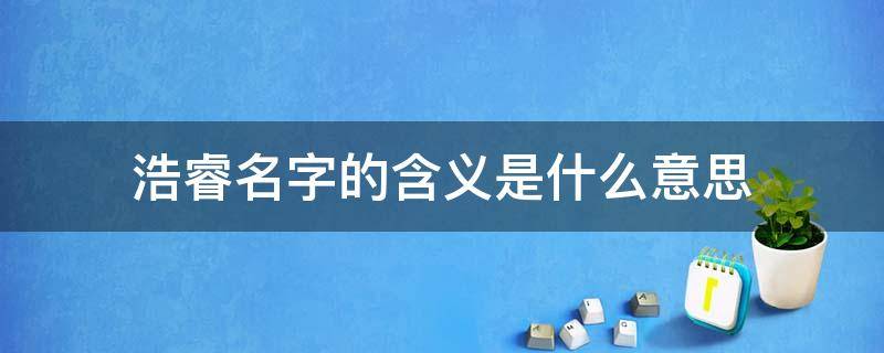 浩睿名字的含义是什么意思（睿字一般人用不起）