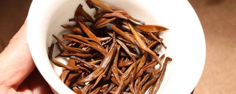 古树金针属什么茶（古树金针属于什么茶）
