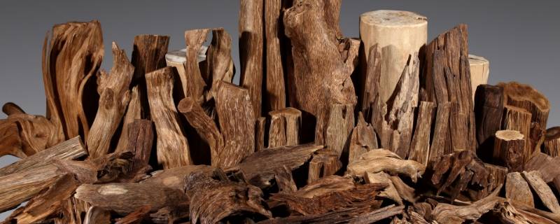 沉香由来（沉香从何而来）