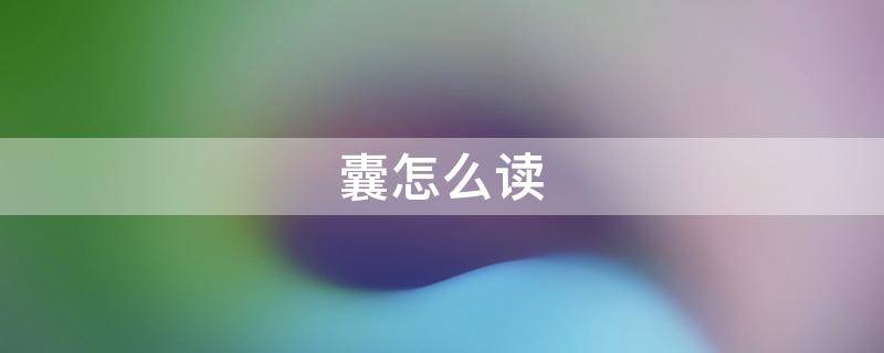 囊怎么读（囊怎么读组词）
