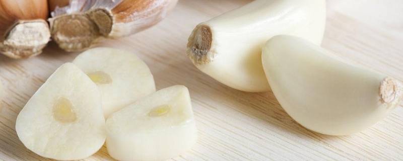 放了一个月的大蒜还能吃吗（放了一个月的大蒜还能吃吗为什么）