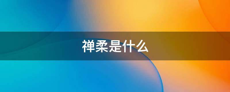 禅柔是什么（禅柔是什么课程）