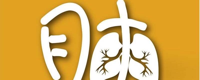 肺为娇脏，其气不可不养！（肺为娇脏,寒热皆所不宜）