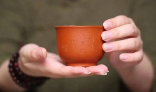紫砂杯首次使用怎么保养 紫砂杯初次使用要怎么处理