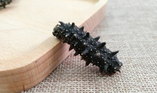 干海参怎样清洗得干净 干海参怎样清洗得干净一些