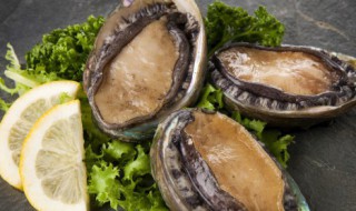 鲍鱼怎样清洗能干净（鲍鱼怎样清洗能干净图片）