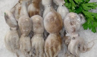 清洗干净的章鱼足是怎样的（章鱼足的处理方法）