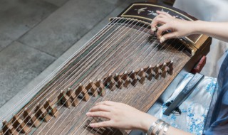 古琴怎么养（古琴怎么养护）