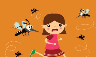 大蚊为什么叫蚊子杀手 大蚊子是什么