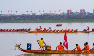 端午节会开什么生肖（端午节会开什么生肖的花）