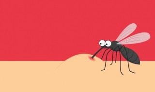 伊蚊按蚊库蚊的区别 伊蚊和按蚊