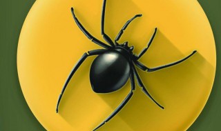 家里有蜘蛛网是吉是凶 家里有蜘蛛网是吉是凶 代表了什么