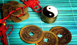 开车撞死猫有什么兆头 开车撞死猫有什么兆头嘛