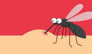 蚊子是怎么进来房间里面的（房间内蚊子是怎样进来的）