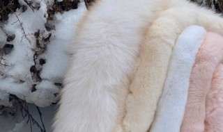 兔毛皮草熨烫里子可以吗（兔毛皮草皱了怎么办）