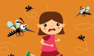 在学校里如何防蚊子 在学校里如何防蚊子叮