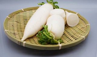 白萝卜怎么吃化痰 白萝卜怎么吃化痰止咳