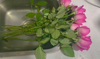 怎么醒花（怎么醒花,要放多少水）
