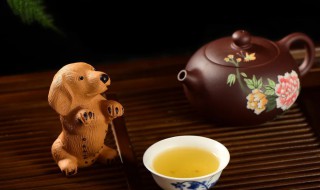 养好的茶宠 养好的茶宠多少钱