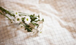 桌布厚一点好还是薄一点好 桌布厚一点好还是薄一点好呢
