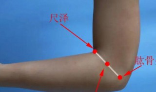 手肘是哪个部位 手臂和手肘是哪个部位