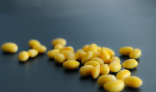 黄豆泡多久才能用高压锅煮（黄豆泡多久才能用高压锅煮粥）