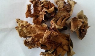 干木棉花清洗方法（干木棉花清洗方法图解）
