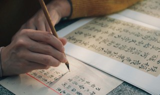 毛笔第一次泡多长时间 毛笔第一次泡多长时间合适