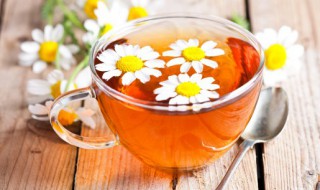 菊花茶能泡多长时间 菊花茶能泡多长时间喝最好
