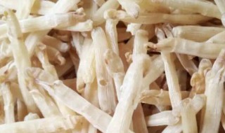 清洗干沙虫的方法（沙虫干的清洗方法）